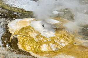 USA Yellowstone<br>NIKON D4, 200 mm, 100 ISO,  1/200 sec,  f : 9 